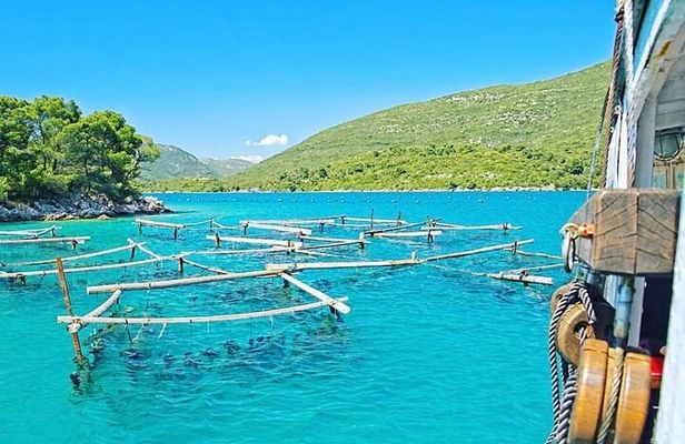 Oyster farm experience private day trip from Dubrovnik