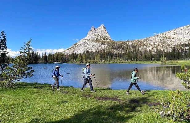 Yosemite: High Country Explorer - Private Hiking Tour