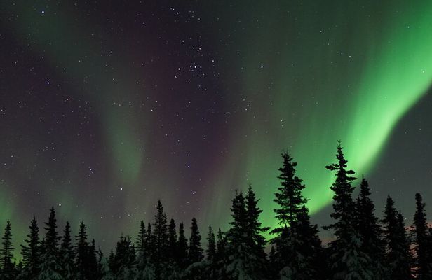 Fairbanks Northern Lights Adventure with free Aurora portraits 