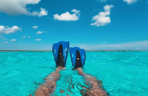Catamaran in Cozumel with snorkeling at El Cielo and open Bar