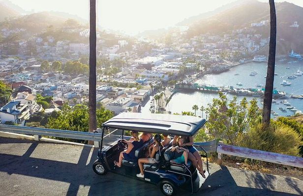 2 Hour Private Tour of Avalon