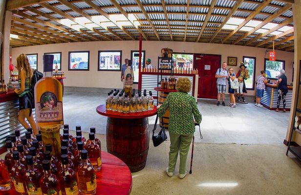 Roatan Excursion: Rum Company, Chocolate Factory with Sloths Park