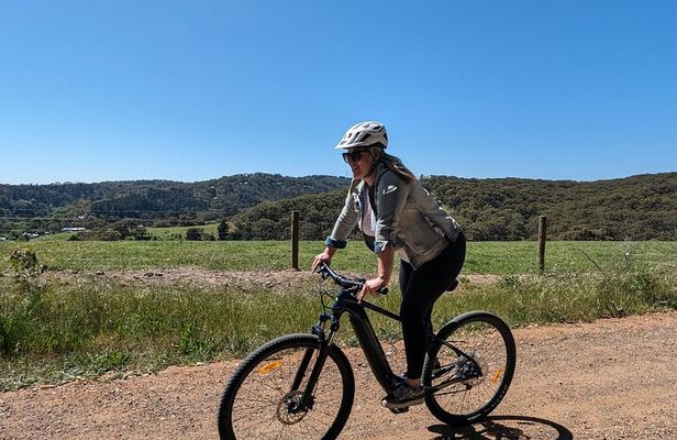 Self Guided Ebike Winery Tour in the Adelaide Hills