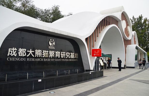 Chengdu Panda Breeding Base Ticket w/ Optional Transfer or Guide