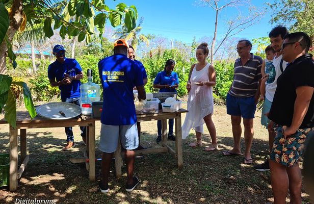 Cook, Taste, and Dance: The Authentic Rondón Experience
