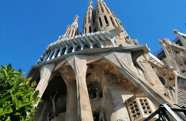 Sagrada Familia Skip The Line Guided Group Tour with Options
