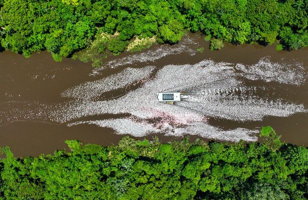 Exclusive Amazon River & Wildlife Expedition – Bolivia
