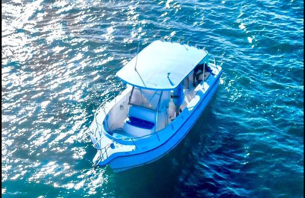 Adventure Stingray City, Snorkeling the Reef and Star Fish Point