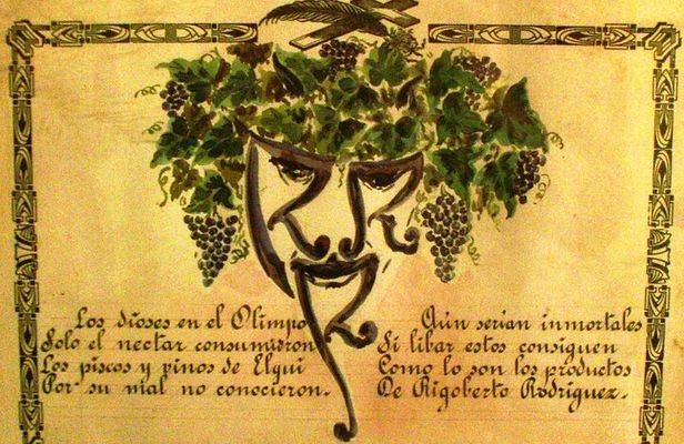 Wine Origins Route in South America La Serena and Elqui Valley