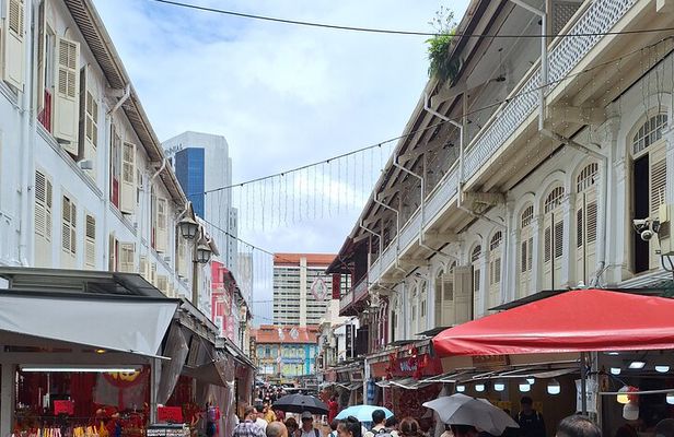 Singapore City Light Tour : Garden by the Bay, Supertree Rhapsody