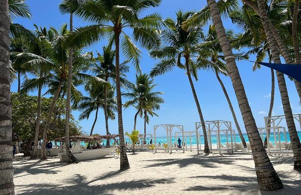 Saona Island and Chavon River Tour with Lunch and Drinks