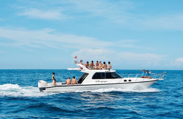 Nusa Penida day trip: boat, 4 snorkeling, Manta rays & Land tour