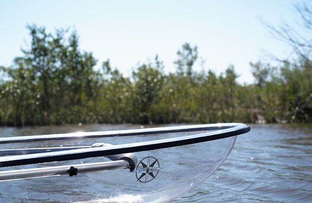 2-Hour Glass Bottom Guided Eco Tour in Flagler County-Small-group