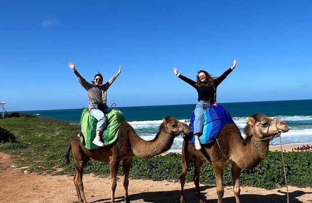 Tarifa to Tangier Tour with ferry ticket , lunch & camel ride