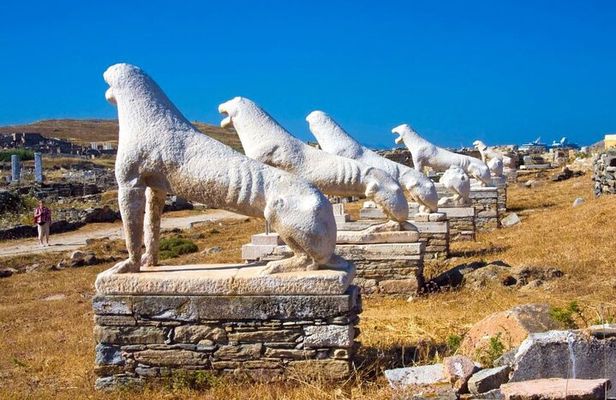 Half Day Delos Tour of Mykonos from the Cruise Ship Port