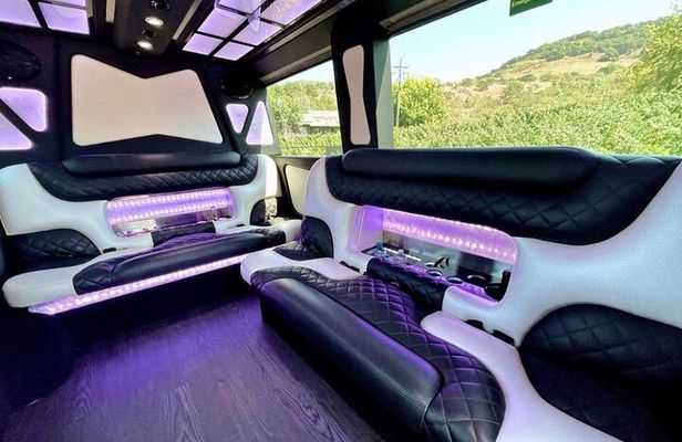 6hr | 7 Passenger Mercedes Sprinter Limo Van Private Tour