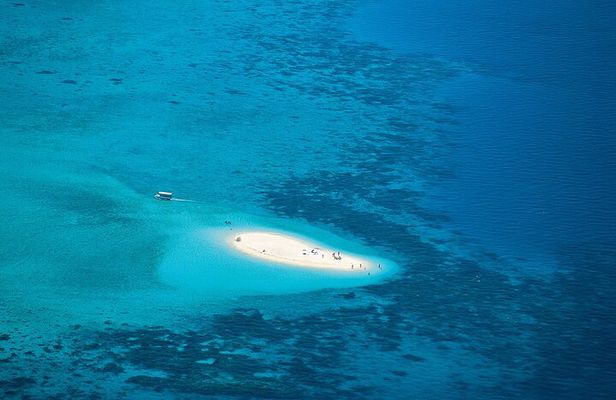 Cairns: Small Group | Outer Reef Snorkel & Dunk Island