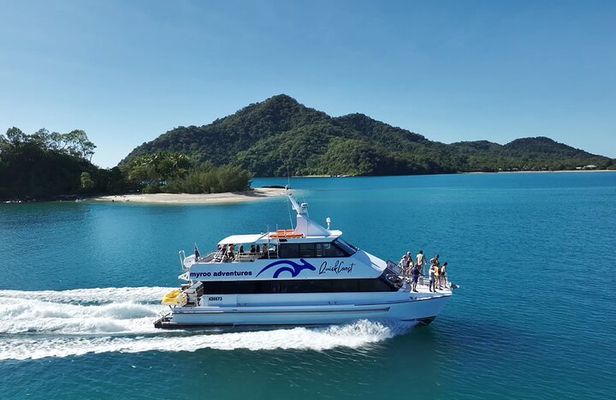 Cairns: Semi-Private | Outer Reef Snorkel & Dunk Island