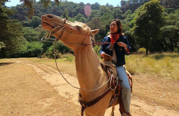 Horseback Riding Adventure in the Mountains with Traditional Food in CDMX