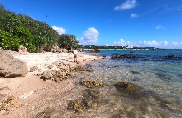 Snorkeling in Okinawa: Private booking