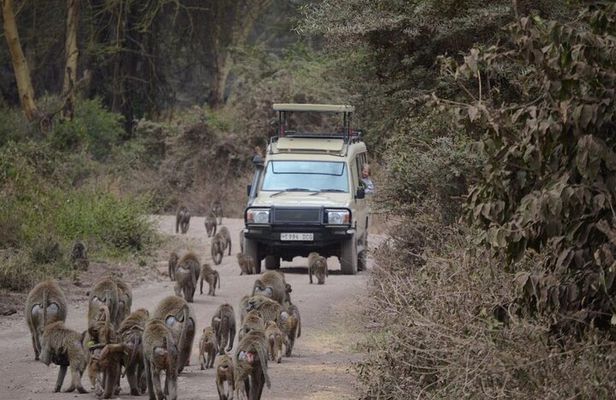 4 Days Group Camping Safari of Tanzania