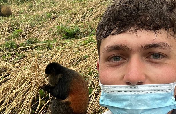 Full Day Private Golden Monkey Tour