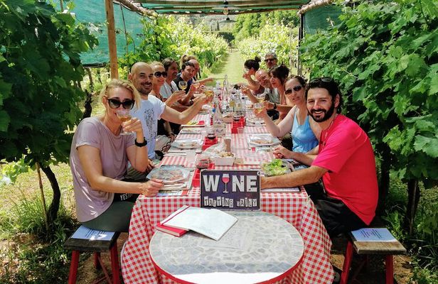 Guided E-Bike Tour with Wine Tasting from Lucca