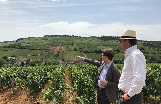 Full day from Beaune: the most of Burgundy, with lunch