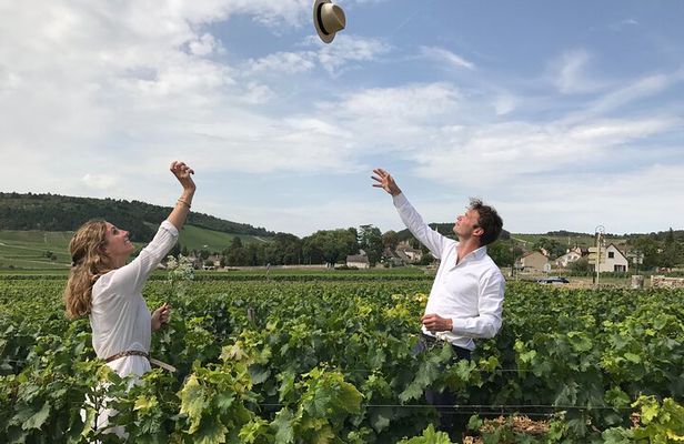 Full day from Dijon: the most of Burgundy with lunch