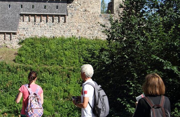 Day trip to Gauja National Park: animals, castles and a cave