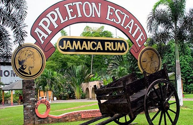 Private Black River and Appleton Rum Tour From Negril