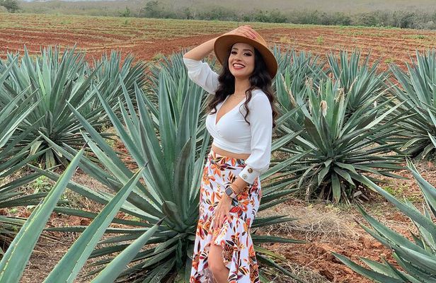 Mezcal Food Tasting Tour with Lunch Included