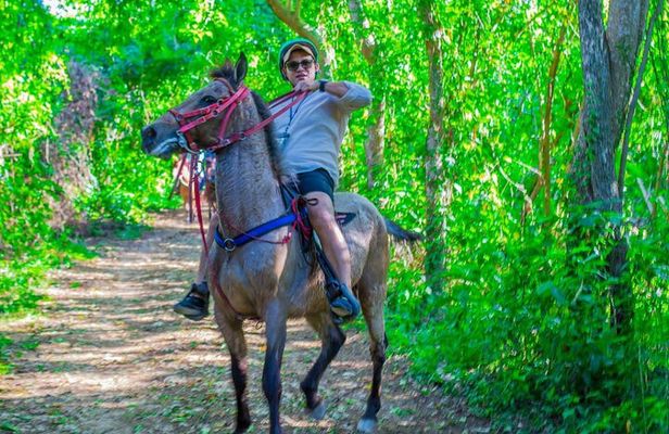 Punta Cana Horseback Ride: Jungle, Macao Beach & Free Pick Up