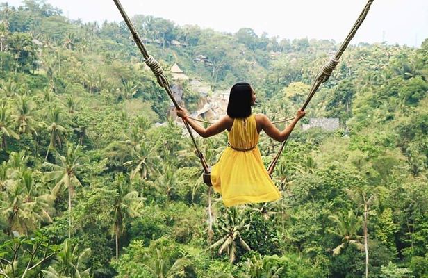 Bali Swing, Monkey Forest, Waterfall Tour