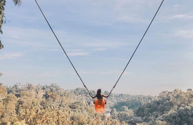 Ubud Full Day - Monkey Forest, Temple and Waterfalls Tour 