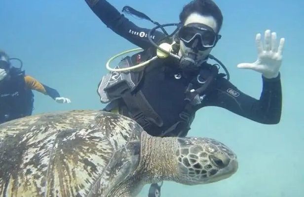 Scuba Diving Tour at Cano Island (Isla del Caño) from Drake Bay