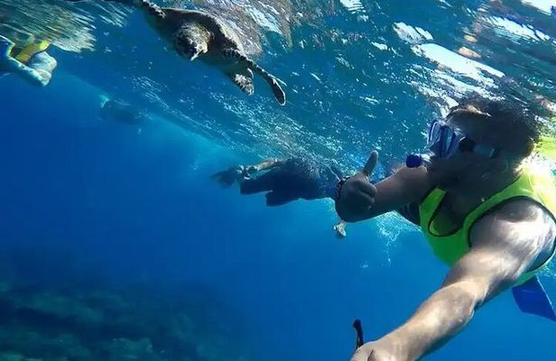 Isla del Caño snorkel tour from Drake Bay (Cano island) 