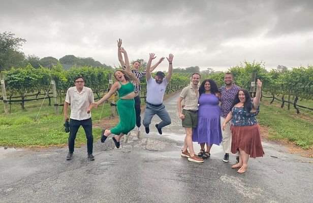 Full Day Private Long Island Wine Tours from New York City