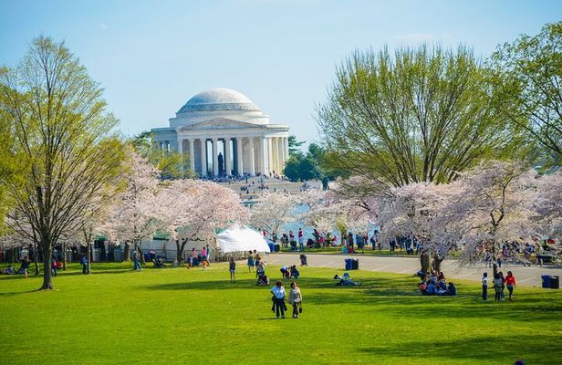Best of DC: Big Bus Hop-on Hop-off Tour and Panoramic Night Tour