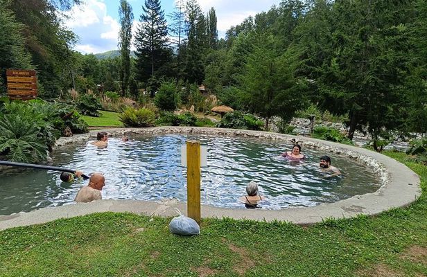 Huilo Huilo Hot Springs Tour from Valdivia with Lunch
