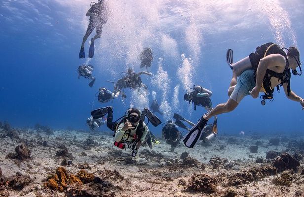 2 Tanks dives for Certified Divers in Cozumel