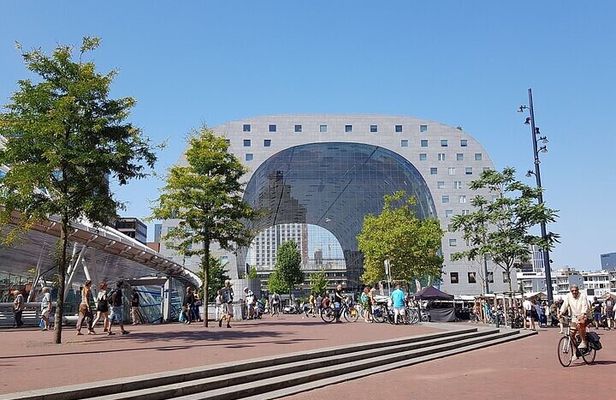 Rotterdam Architectural Walking Tour With A Guide (Private Tour)