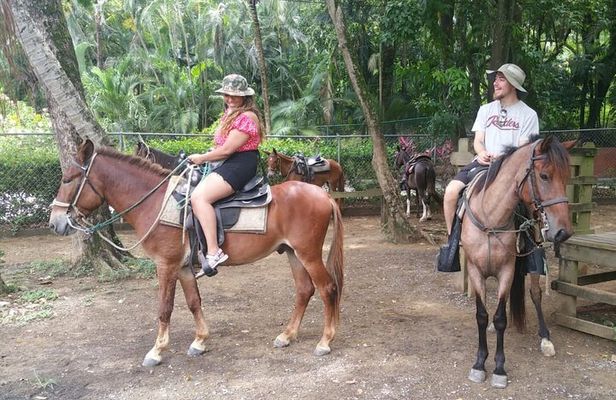 Horseback Riding and Snorkeling at West Bay Beach Private Tour