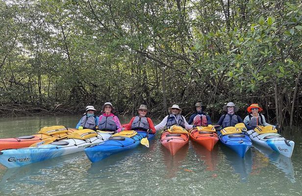 Uvita: Marino Ballena National Park Mangroves - Sea Kayaking