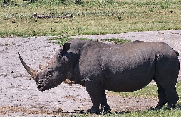 2 Nights & 3 Day Kruger National Park Safari & Panorama Route
