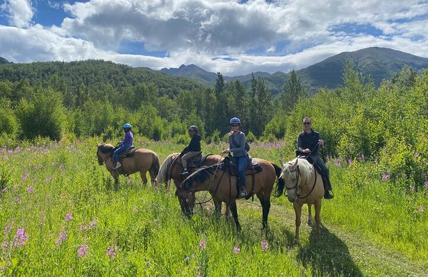 Zipline & Horseback Adventure in Alaskan Mountains