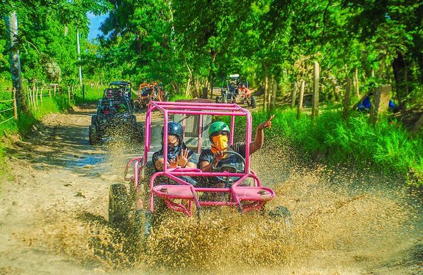 Punta Cana 4 Hours Buggy Tour Cave Macao Beach Free Pick Up