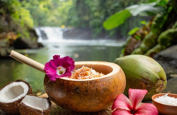 SPA day surrounded by nature, well-being rituals