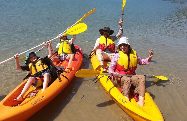 Daytime Kayak Eco Tour of New South Wales