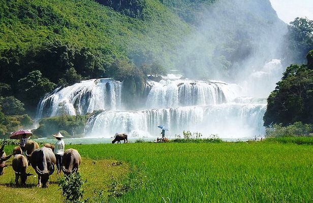 Ban Gioc Waterfall 2 days 1 night